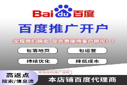 SEM营销案例：电商平台的流量密码
